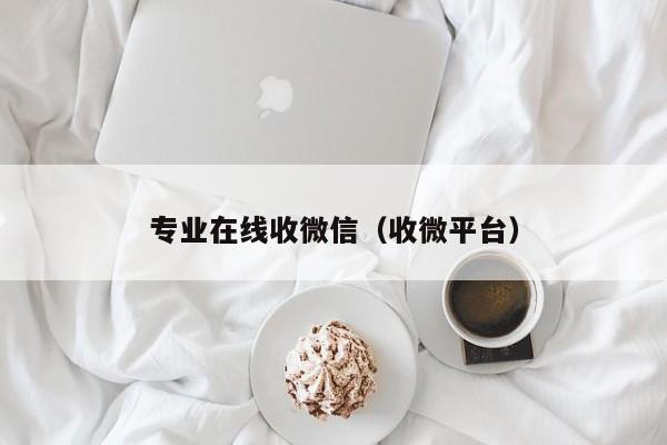 专业在线收微信（收微平台）